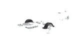 Valties priekabos sparnas 13" DOMAR D20422 rato arka 950/240mm